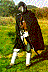 fall9702.jpg