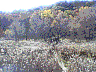 shan040.JPG