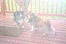 dcp_5539.jpg
