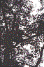 richm37.jpg